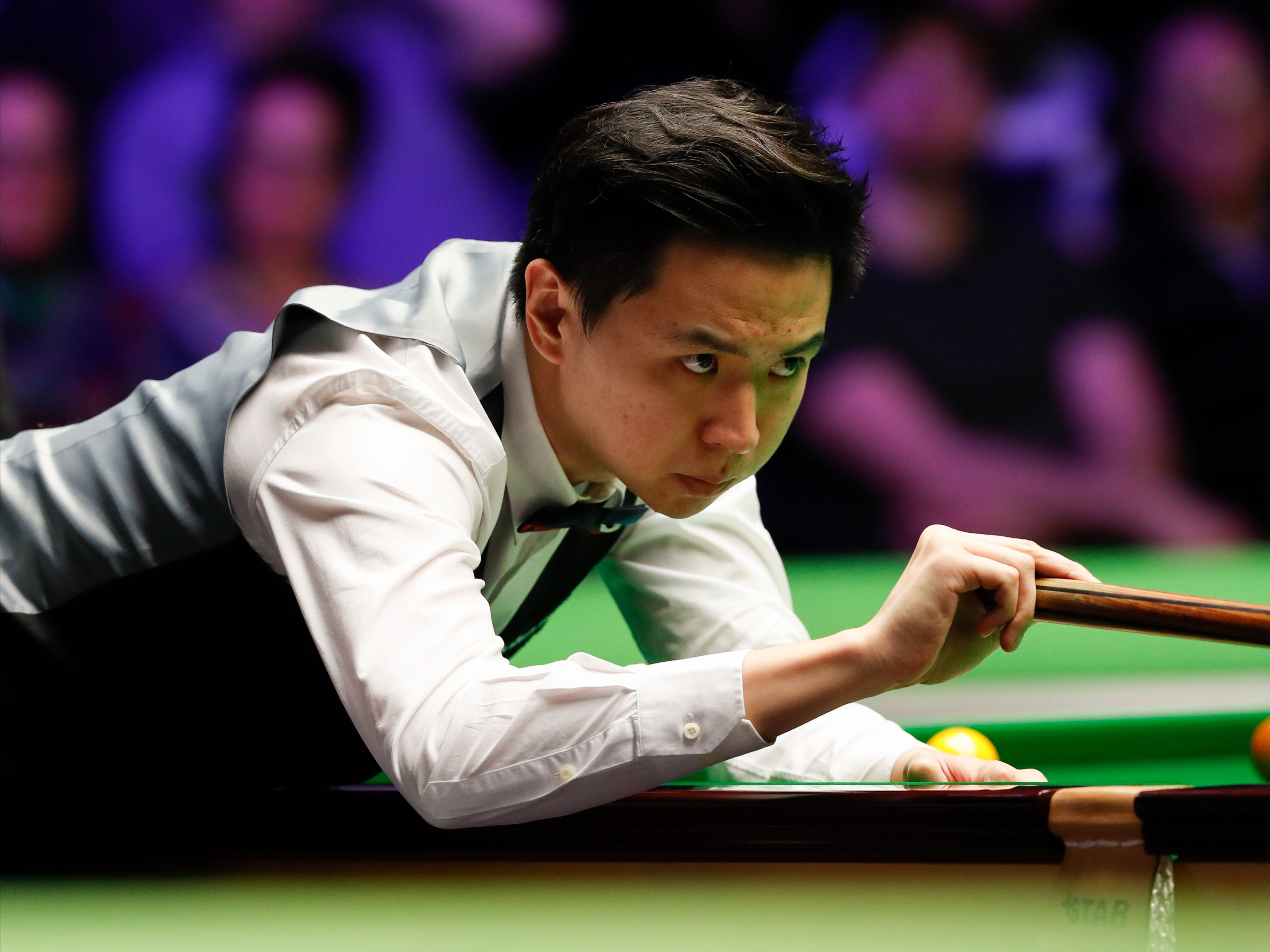 性基因差异 性基因差异